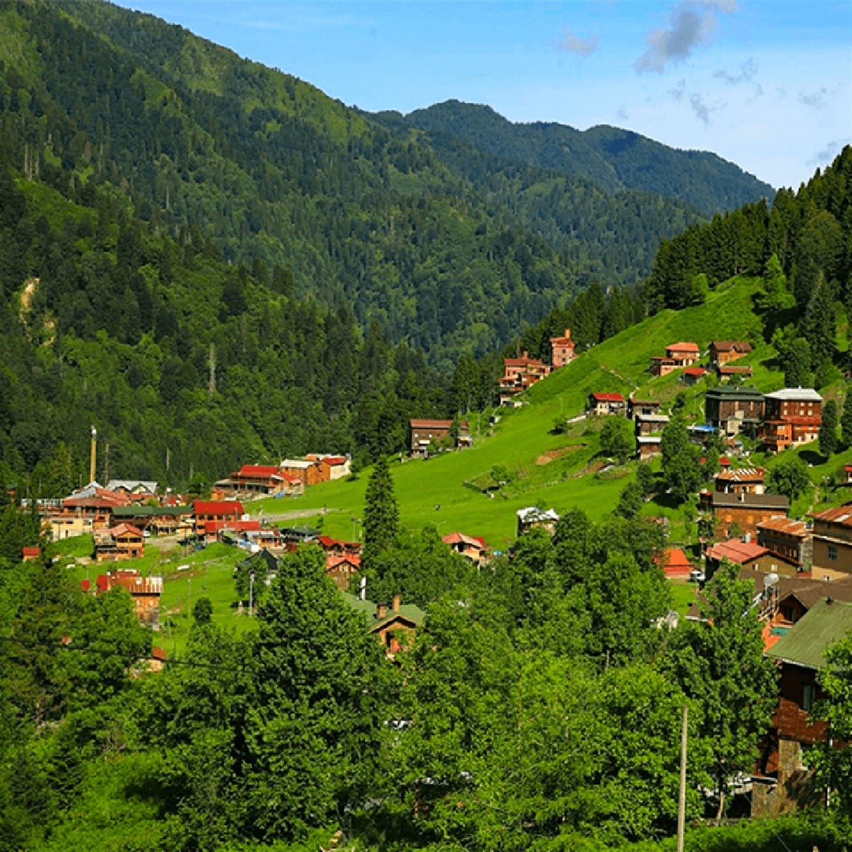 Rize Ayder Yaylası